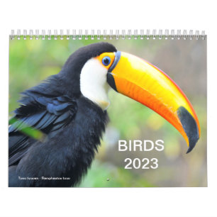 Calendar 2023 of various birds