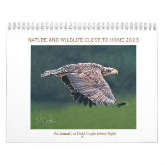 Calendar 2023 wildlife and nature