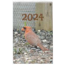 Calendar 2024 Backyard Birds 