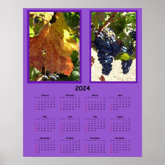 Calendar - 2024 Grapes on the vine Poster (Front)