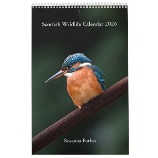 Calendar 2026 Scottish Wildlife 