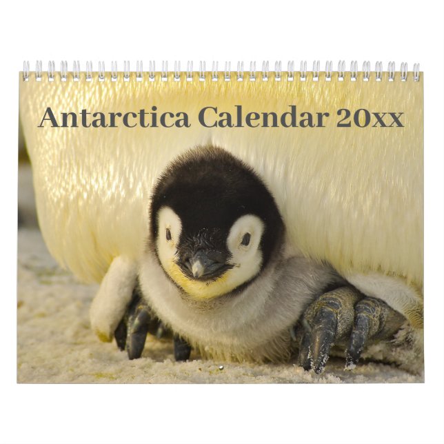 Calendar 20xx - Antarctica (Cover)