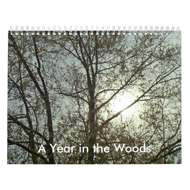 Calendar - A Year in the Woods (Cover)