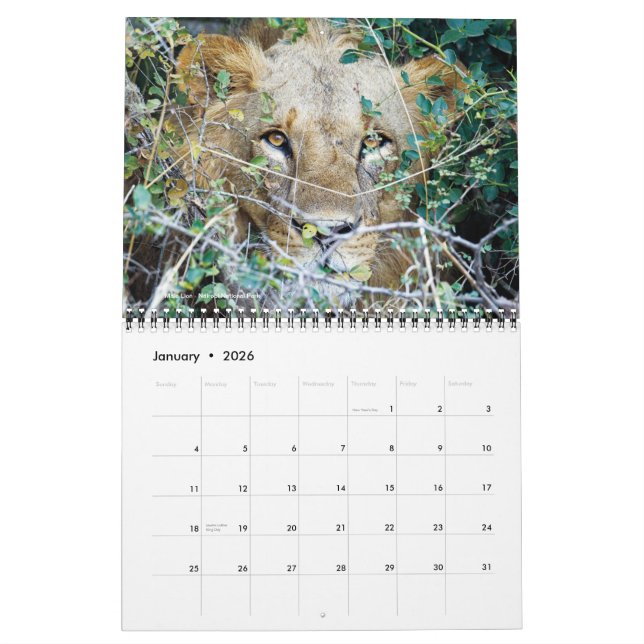 Calendar - Africa on Safari (Jan 2026)