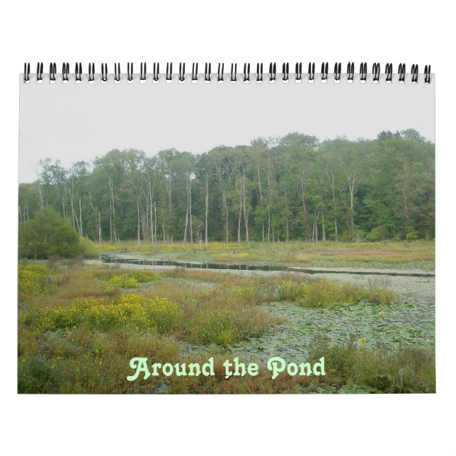 Calendar - Around the Pond (Cover)