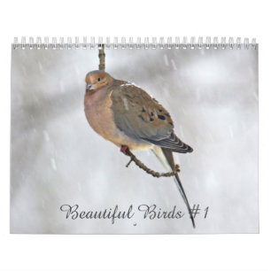 Calendar Beautiful Birds #1