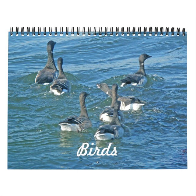 Calendar Birds (Cover)