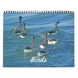 Calendar Birds