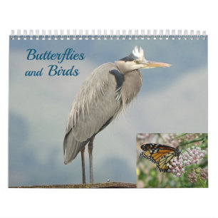 Calendar - Birds and Butterflies