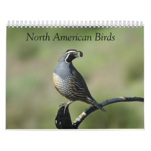 Calendar - Birds of North America