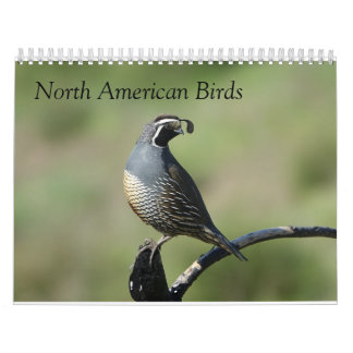 Calendar - Birds of North America