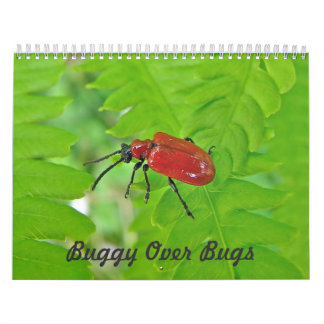 Calendar - Buggy Over Bugs
