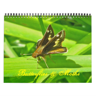 Calendar - Butterflies & Moths