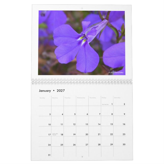 Calendar: Delicate Nature Calendar (Jan 2027)