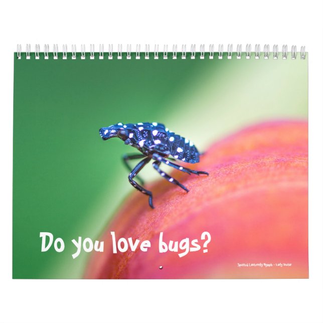 Calendar ~ Do You Love Bugs? (Cover)