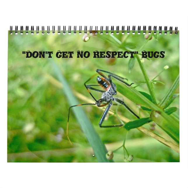 Calendar- Don't Get No Respect Bugs Calendar (Cover)