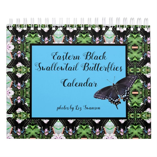 Calendar - Eastern Black Swallowtail Butterflies (Cover)