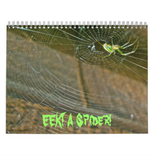 Calendar - EEK! A Spider!
