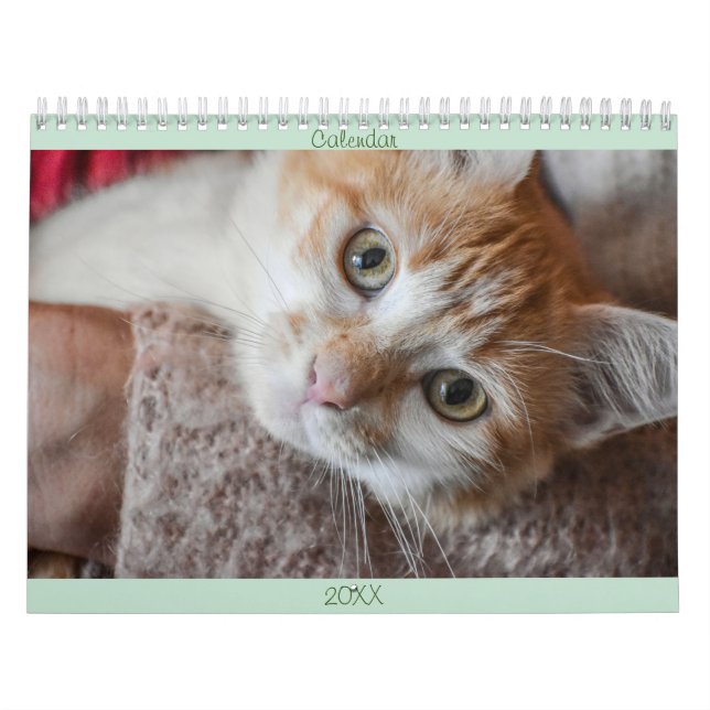 Calendar English and USA Cute Beautiful Cats (Cover)