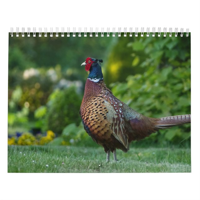 Calendar Faisan, Calendar Pheasant (Cover)