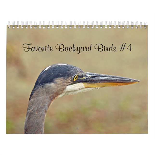 Calendar Favourite Backyard Birds (Cover)