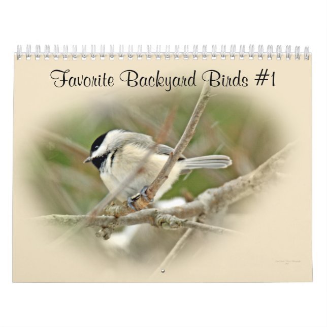 Calendar Favourite Backyard Birds #1 (Cover)
