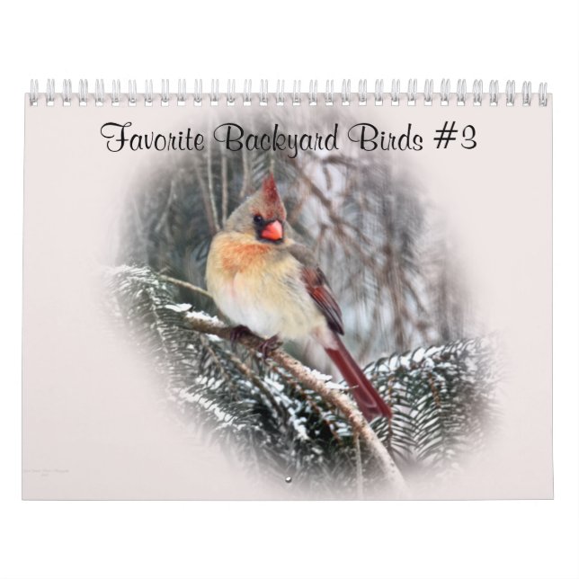 Calendar Favourite Backyard Birds #3 (Cover)