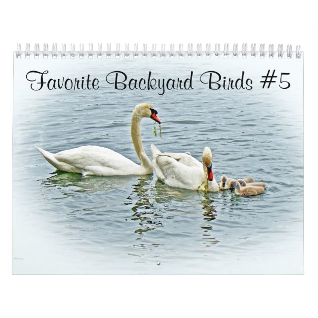 Calendar Favourite Backyard Birds #5 (Cover)