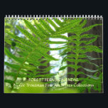 CALENDAR FERNS Calendar Redwood Forest Ferns<br><div class="desc">CALENDARS Change Dates, FERNS Calendars, Green FERN Forests Calendar, Redwood Forest ferns, Gift Calendars, Christmas Gifts, OFFICE ART, Corporate Client Git Calendars, Artwork Calendars, Botanical Forest Landscapes. BASLEE TROUTMAN FINE ART COLLECTIONS. GETTING A GIFT? COMBINE several products. Greeting Cards, Stamps, Postage Stamps, Postcards, Tote Bags, Aprons, Mugs, Mousepads, Keychains, Stickers,...</div>