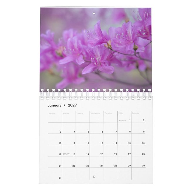 Calendar  flowers (Jan 2027)
