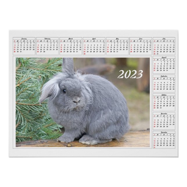 Calendar for 2023 Cute grey rabbit Poster (Front)