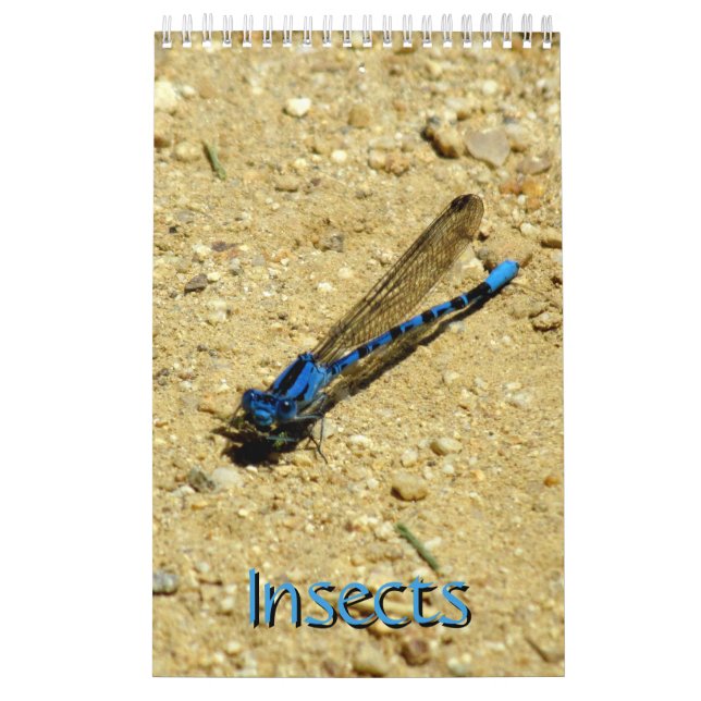 Calendar - Insects vol.2 (Cover)