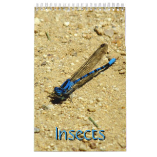 Calendar - Insects with Fly