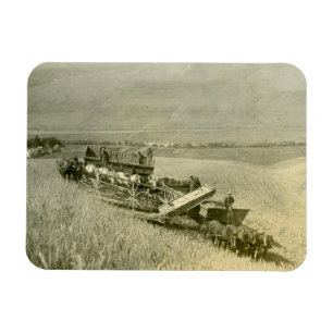 Calendar Magnet