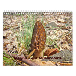 Calendar - Magnificent Mushrooms