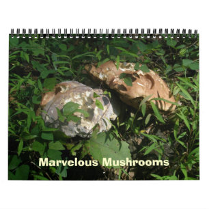 Calendar - Marvellous Mushrooms