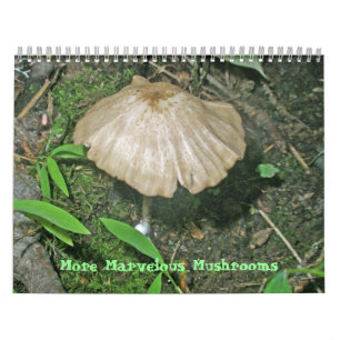 Calendar - More Marvellous Mushrooms