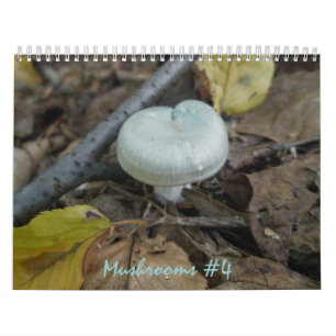 Calendar - More Marvellous Mushrooms #4