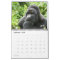 Calendar - Mountain Gorillas of Rwanda