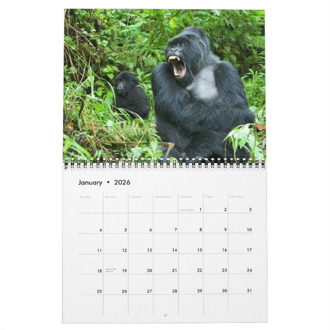 Calendar - Mountain Gorillas of Rwanda (Jan 2026)