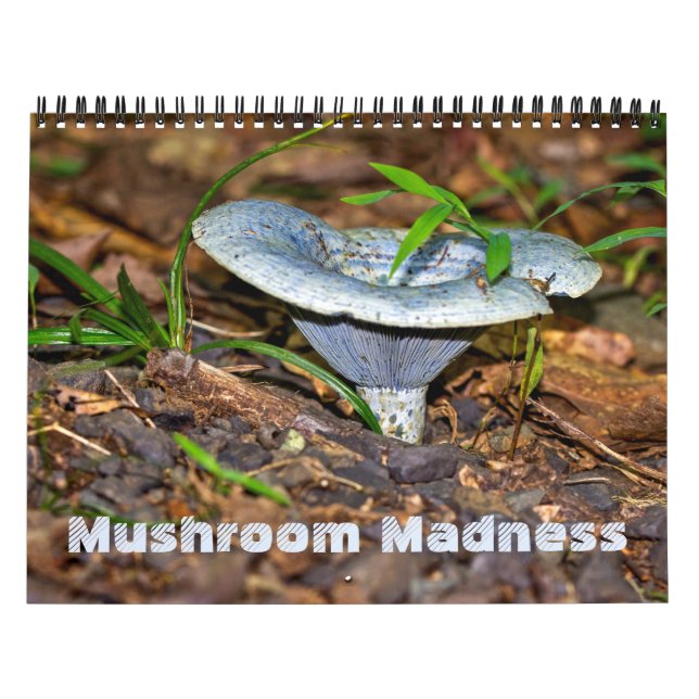 Calendar ~ Mushroom Madness (Cover)