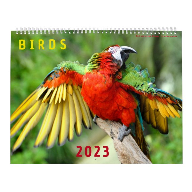 Calendar of 2023 of photos of various birds (Cover)