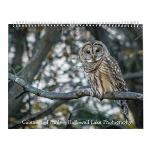 Calendar of Birds Hallowell Lake Photography