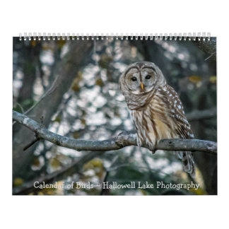 Calendar of Birds Hallowell Lake Photography
