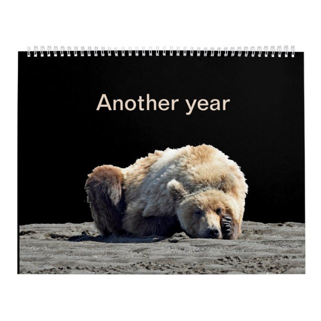 Calendar of grizzly bear cubs (Cover)