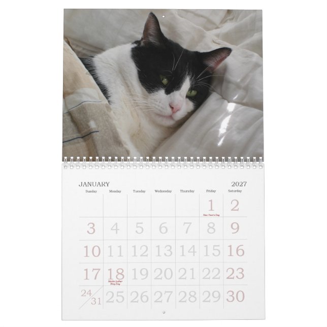 Calendar of Moments (Jan 2027)