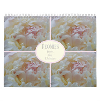 Calendar Peonies from my Garden