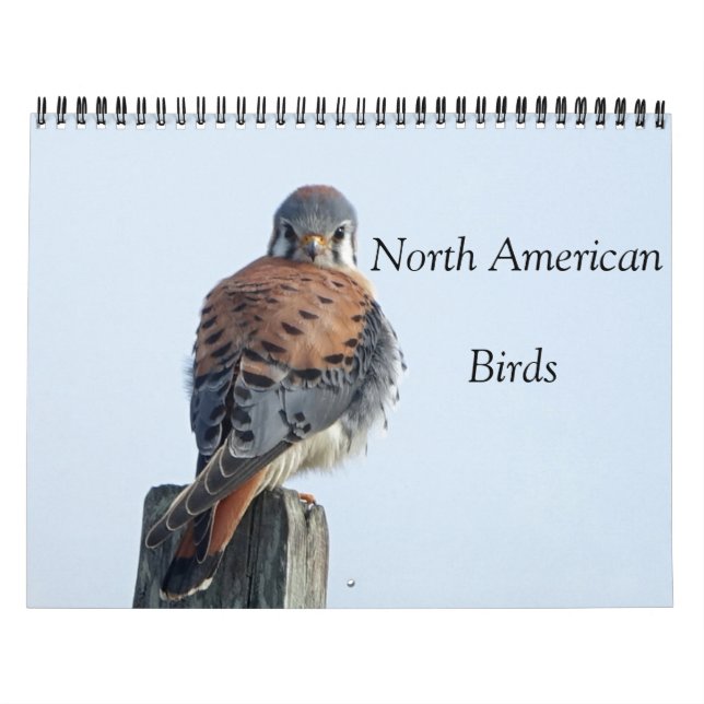 Calendar - Photos of North American Birds (Cover)
