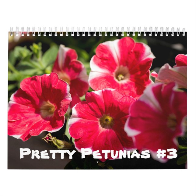 Calendar - Pretty Petunias (Cover)