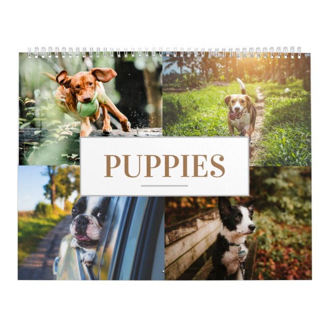 Calendar Puppy Calendar Home Wall Dog (Cover)